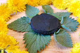 Neragavusiems dilgėlių sūrio