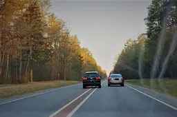 Kokia bauda atsirūgs kelių ereliui?