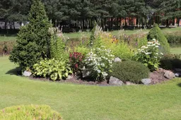 Kur aplinka sutvarkyta gražiausia – sprendimą priimti nebus lengva