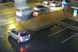 Atsiliepė keturkojį perėjoje suvažinėjusi automobilio vairuotoja