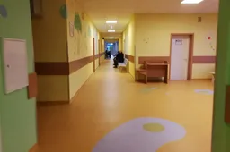 Sveikti padės sveikuolis Alytukas ir spalvos