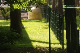 Švirmicko ir Diržio santykiuose - inspekcijos sprendimas: amatininkai turės griauti tvorą, kuria jie atsiskyrė nuo dailininkų