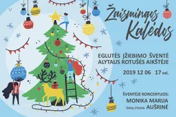 Kalėdų nuotaika į Alytų atvyksta gruodį