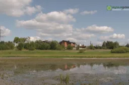 Europinėmis lėšomis išvalytame ežerėlyje Pirmame Alytuje neliko ... vandens