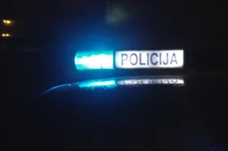 Sodybose buvo smurtaujama ginklu ir kastuvu