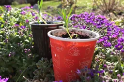 Mokytis naudingų dalykų „TikoTiks“ kviečia nuotoliniu būdu