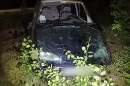 Rastas apvirtęs automobilis, jame – neblaivi vairuotoja ir vyras