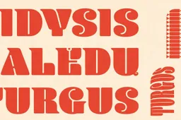 Artėjančių Kalėdų šurmulys Dauguose: produktai turguje – iš gamintojų rankų