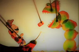 Dėmesio, „Com@“: prie Alytaus artėja „Kometa“!