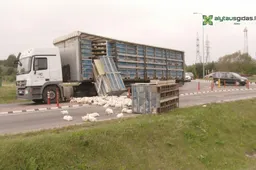 Eismą prie I Alytaus sustabdė ant kelio pabirusios vištos