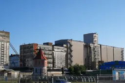 Priežasčių brangti duonai grūdininkai neįžvelgia