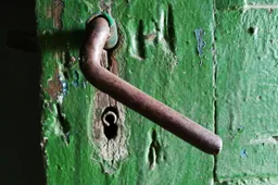 Didžioji Daivos šeimos svajonė sukasi apie nuosavus namus