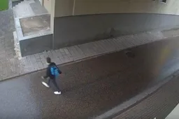 Prašo atsiliepti nelaimės Naujojoje g. liudininką