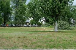 Šalia Stasio Kudirkos ligoninės – kertami medžiai