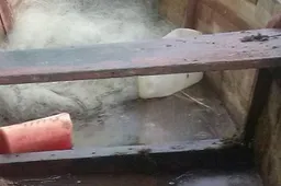 Pas Lazdijų rajono gyventoją rasti keli kilometrai žvejybinių tinklų