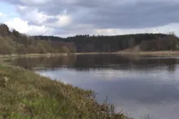 Negyvų žuvų Nemune Lietuvos ekspertai neranda, žvejai – rado ir prie Alytaus