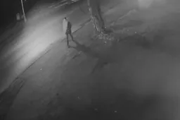 Prašome atsiliepti: atpažinkite asmenį