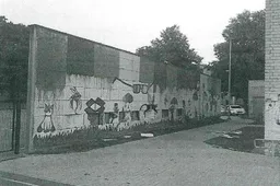 Padėkime surasti krepšinio aikštelės niokotojus