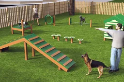 Dar viena alytiškių iniciatyva – gyvūnų dresavimo aikštelė Vidzgiryje