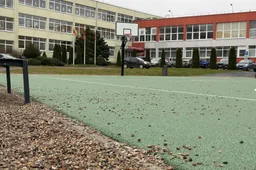 Skaitytojas klausia: ar tie akmenys į krepšį skirti mėtyti?