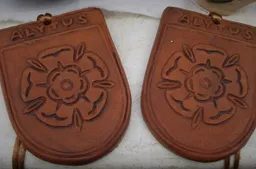 Alytaus dalyvaujamojo biudžeto priemonė Lietuvai tampa pavyzdžiu, tačiau iniciatyvų mieste mažėja