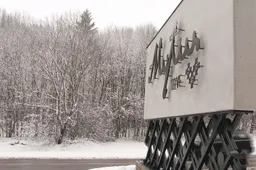 Metų metus kritęs alytiškių gimstamumas ūgtelėjo