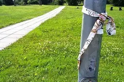 Alytiškės moterys daugiau miršta nuo kraujotakos sistemos ligų, vyrai – nuo piktybinių navikų, traumų ir apsinuodijimų, virškinimo bei kvėpavimo sistemų ligų