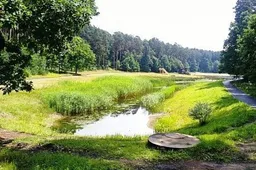Alytaus Dailidės ežerėlyje maudytis saugu