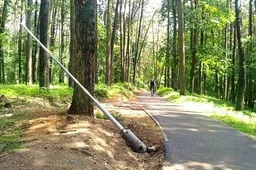 Alytaus miesto parke – išvartyti nauji stulpai (NUOTRAUKOS)