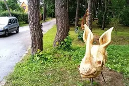 Alytaus kultūros ir meno taryba - sunerimusi