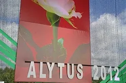 Alytus pasirengęs. Laikas šventę švęst!