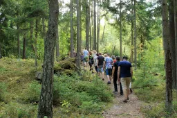 Punios šile - pėsčiųjų žygis partizanų takais