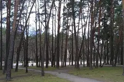 Bendrasis pagalbos centras perima pagalbos skambučių administravimą iš Lazdijų rajono savivaldybės
