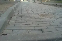 Kėsinosi pavogti metalo laužo, susirgo panaudojusi maisto papildus, surišo rankas ir kojas