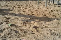 Vaikams skirta oazė virsta šiukšlynu