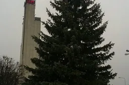 Alytaus žaliaskarė atvyko iš Daugų gatvės, egles žiebs ir Pirmas Alytus bei policijos komisariatas