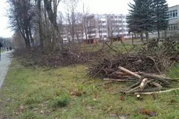 Dėl ant dujotiekio ir apsaugos zonoje augančių medžių kirtimo