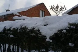 Šventinės vasario dienos numatomos snieguotos