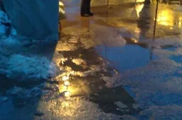 Plikledis: neskubėk ir būsi pirmas!