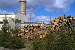 Lazdijų rajono merui kalėjimo prokurorai siūlo trejus metus, valdininkui – ketverius, kyšininkui – nieko
