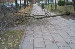 Vėtra šėlo ir Alytuje (ATNAUJINTA)