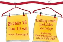 Alytaus gimtadienio „Blusaturgis“: kam feritinių magnetų, kam senų kasečių, kam perskaitytų knygų?