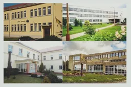 Profesinių mokyklų ateitis rajone – jungiantis su gimnazija arba Alytaus PRC