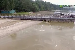 Aplinkosaugininkai aiškinasi, kodėl taip gausiai „žydi“ Dusia
