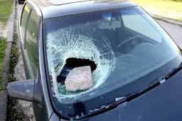 Vagys įrodė: alytiškiai nesaugo savo automobilių