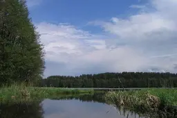 Gamtos stichija Dzūkijoje pasiglemžė 21 ir 41 metų amžiaus žmones