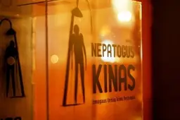 Nepatogiai įdomus kinas Alytuje - keturias dienas dailės mokykloje (VIDEO)