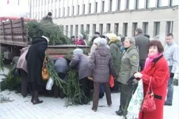 Miškininkai šiemet dalins ne tik šakas, bus dovanojama ir kankorėžių (ATNAUJINTA)