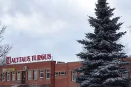 Šventiniam stalui - silkių ir žuvų produktai