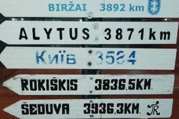 „Išgyventi negalima numarinti“ - atsakymų į klausimą, kur dėti kablelį, ieškos Alytaus ekonomikos forumas